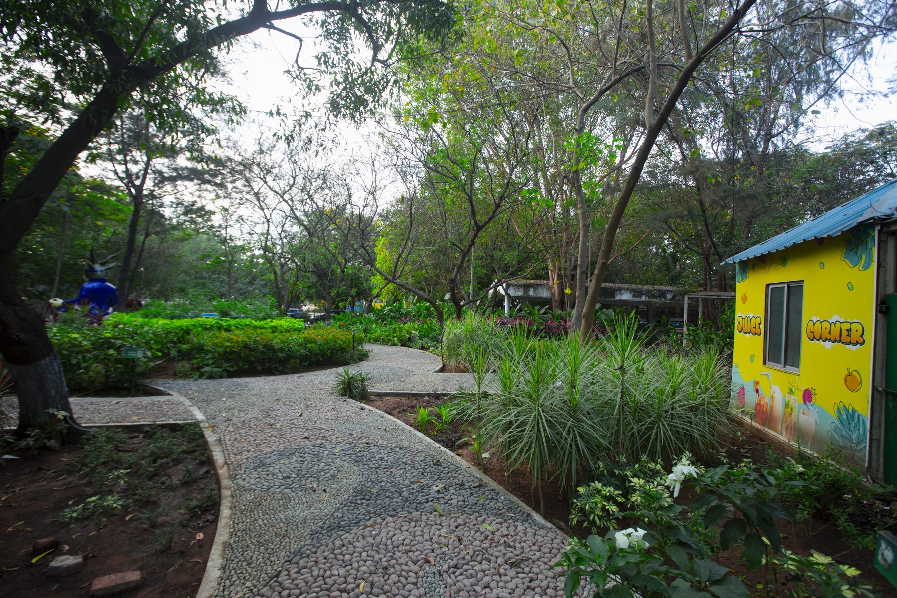 Landscaped garden path
