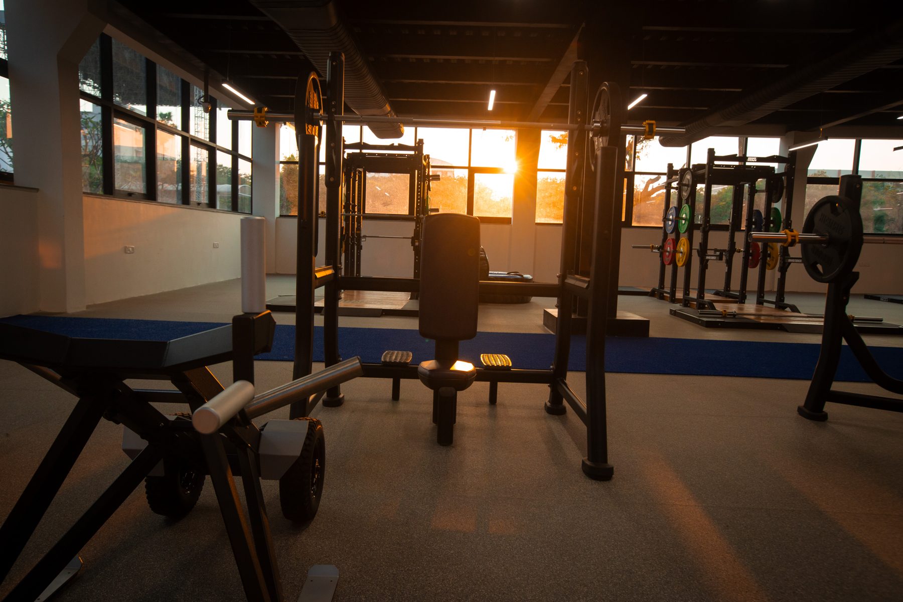 Gym