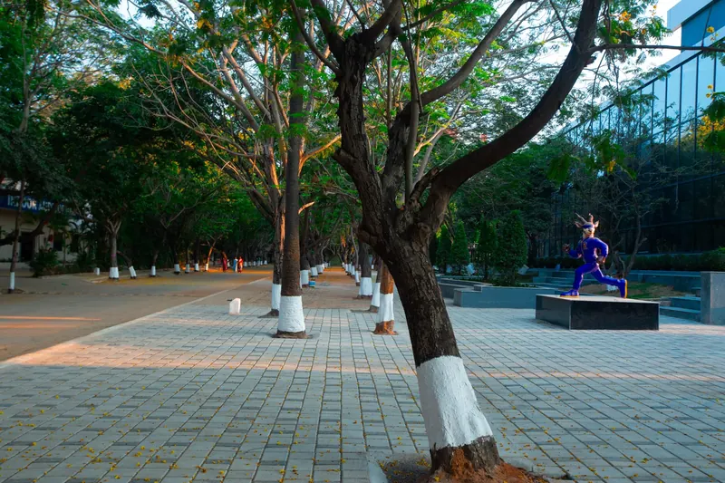 Students in motion on campus